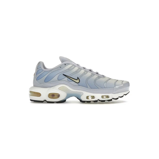 Nike Air Max Plus Ashen Slate / Pale Ivory