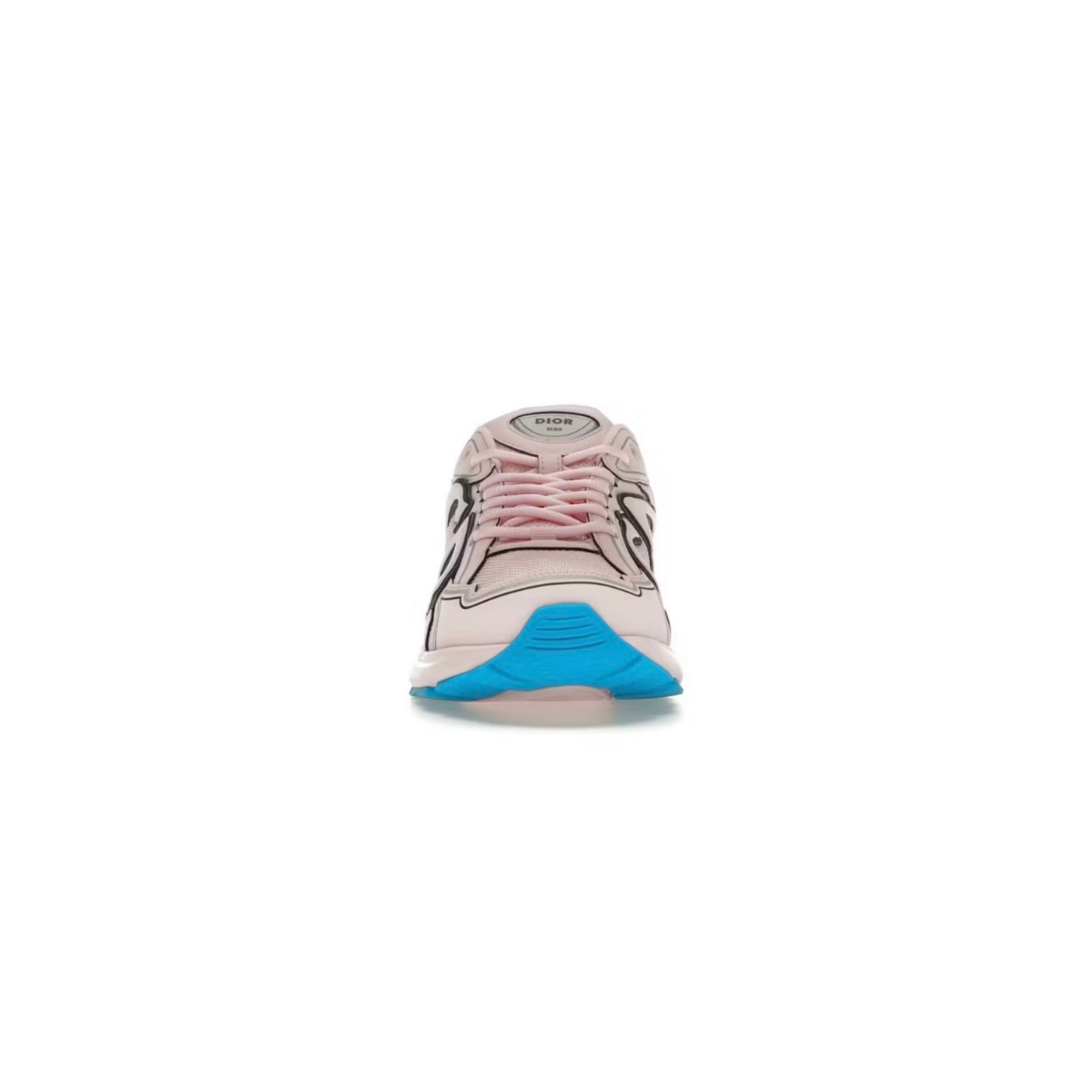 Dior B30 Sneaker Pastel Pink Blue