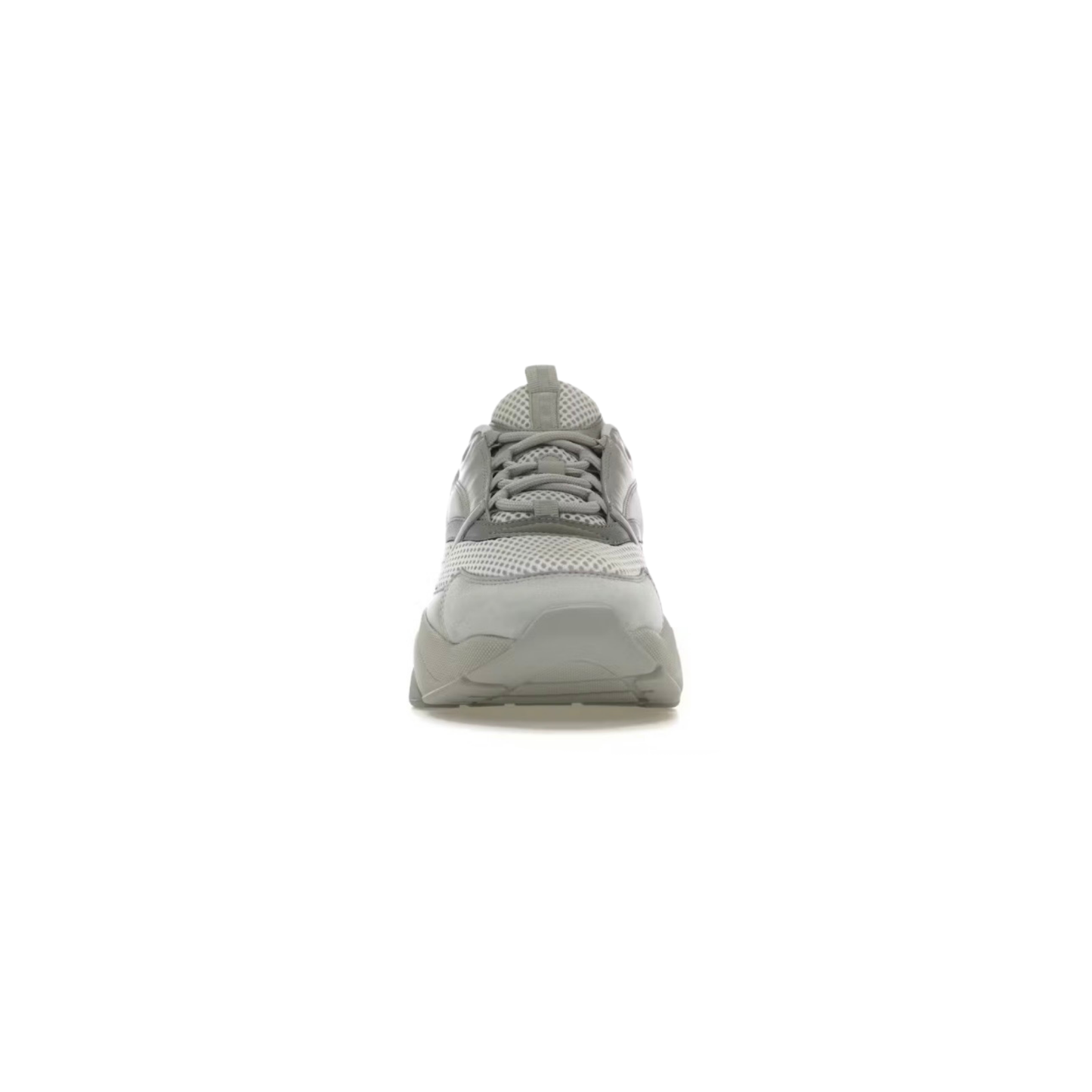 Dior B22 Light Grey & Silver