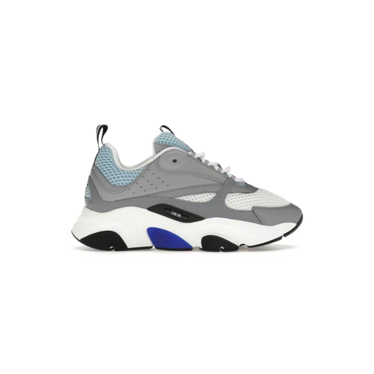 Dior B22 Grey & Blue